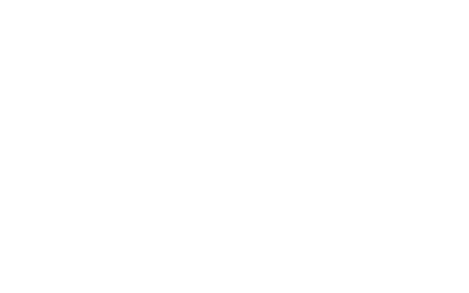 Details Commercial